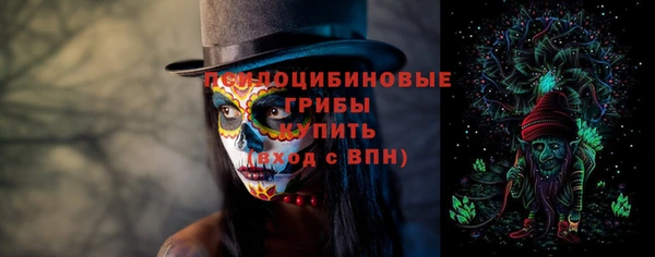 дурь Алексеевка