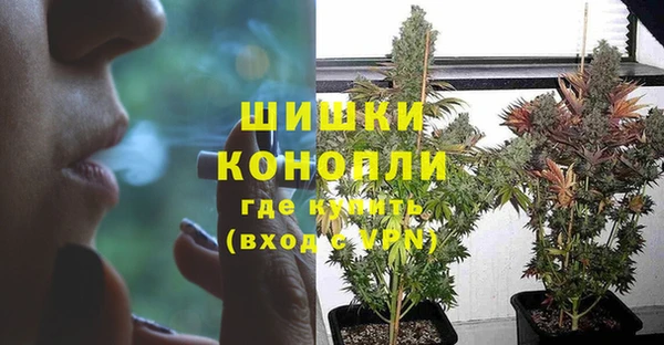 дурь Алексеевка