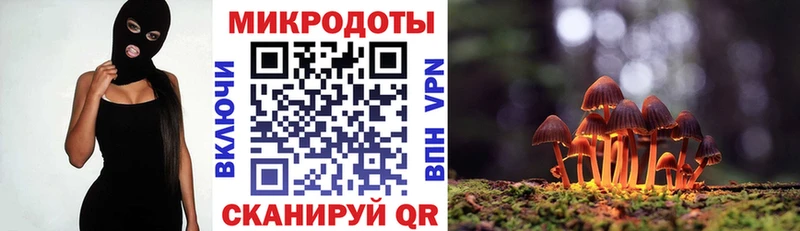блэк спрут маркетплейс  закладки  Балабаново  Галлюциногенные грибы Cubensis 
